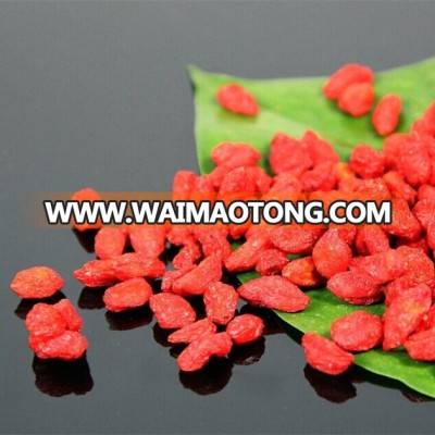 Top quality dried goji berries