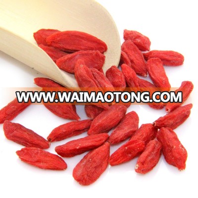 Good price goji berries wholesale